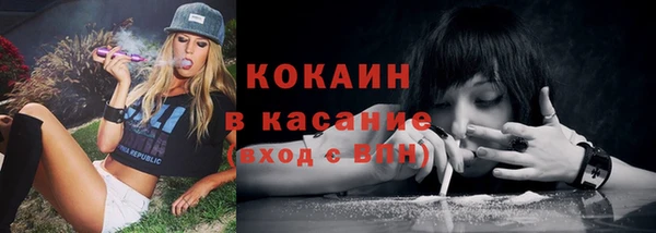 винт Ладушкин